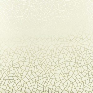 Neo Geometric – NG1964
