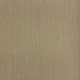 Texture World – NB520806