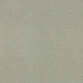 Texture World – NB530504
