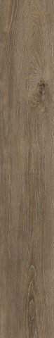 Massima Pro Trento 3mm