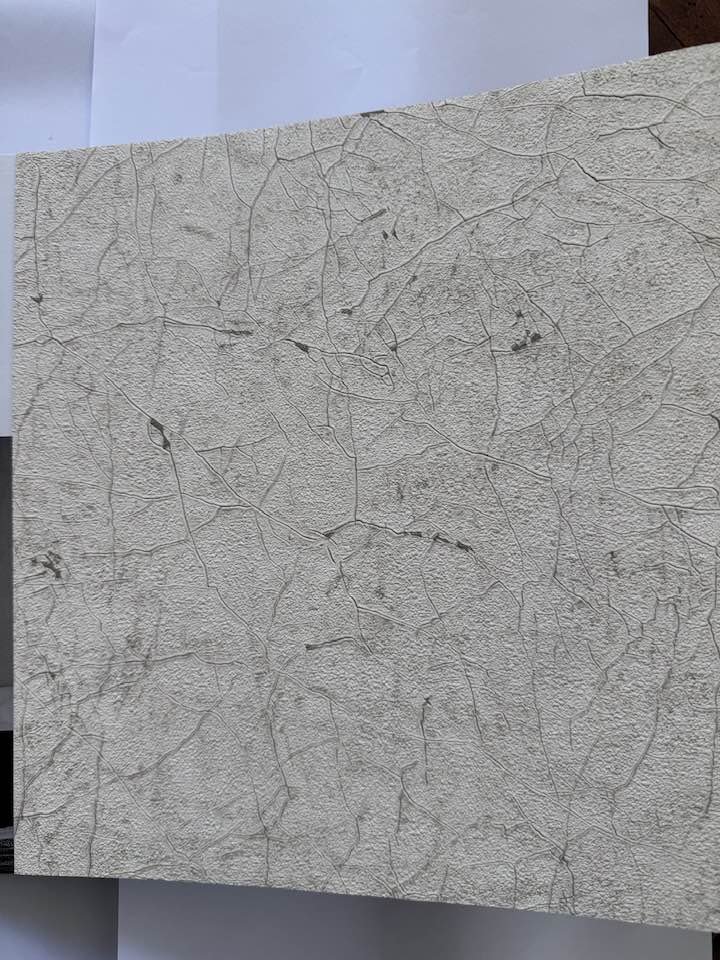 New Textures Vanilla Beige 32802