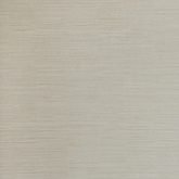 Infinity B1151101